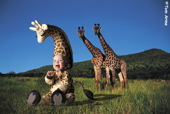 TA217GiraffeCD55