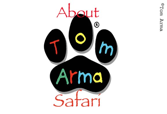 AboutSafari