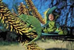 TA234ChameleonCD69