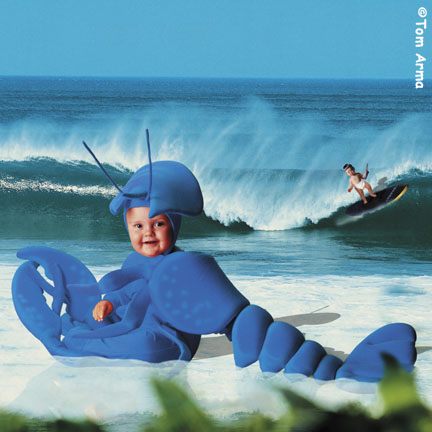 TA242LobsterCD74 copy